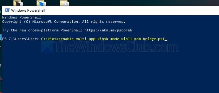 Powershell Script Execute Kisok