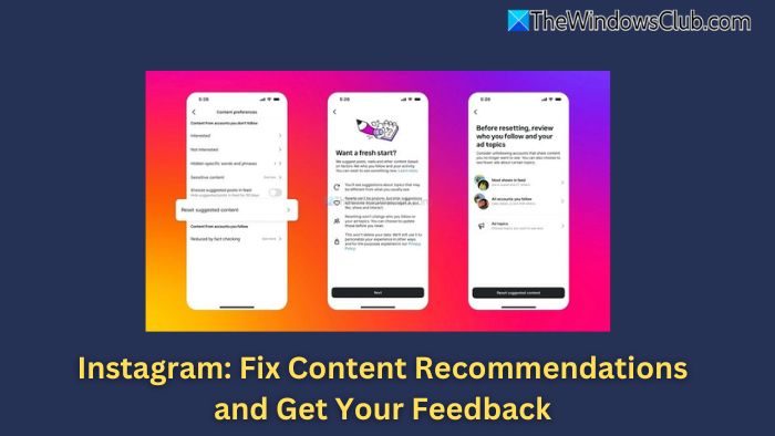 Fix Content Recommendations and Get Your Feedback Instagram