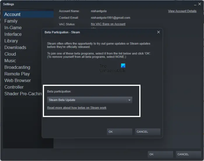 How to enable the Steam beta client