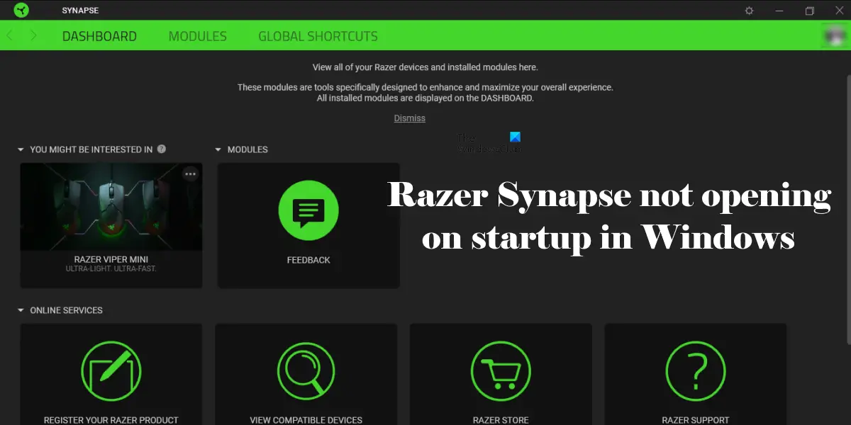 Razer Synapse не открывается при запуске в Windows